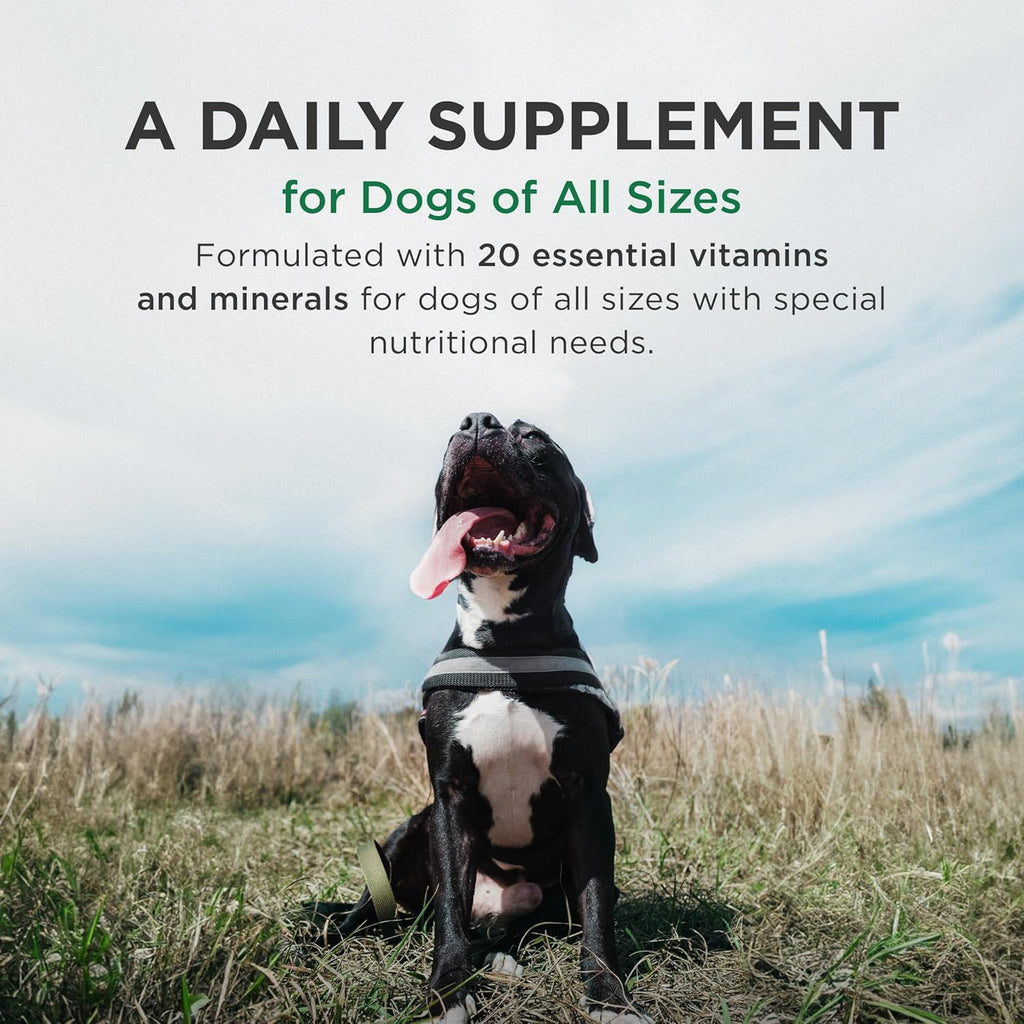 Pet Tabs Plus for Dogs 180ct Chewable tablets Vitamin Mineral Supplement